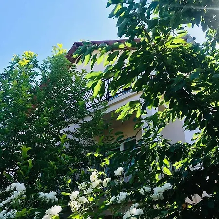 Vila A&s Guest house